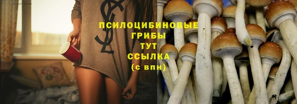 прущие крисы Горно-Алтайск