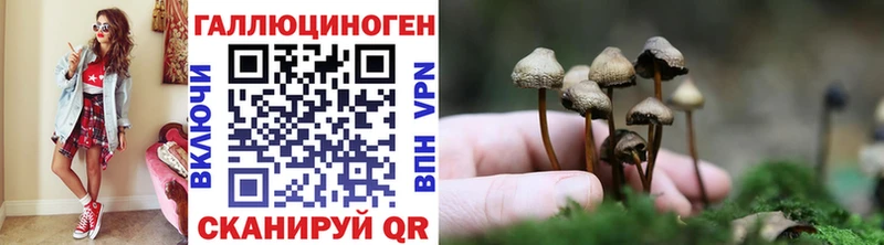 Галлюциногенные грибы мухоморы  hydra ONION  Пенза 